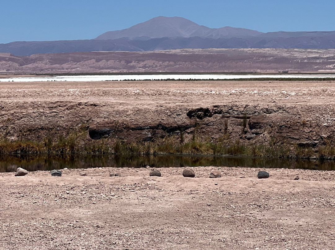 Ojos del Salar-圣佩德罗-德阿塔卡马必去景点