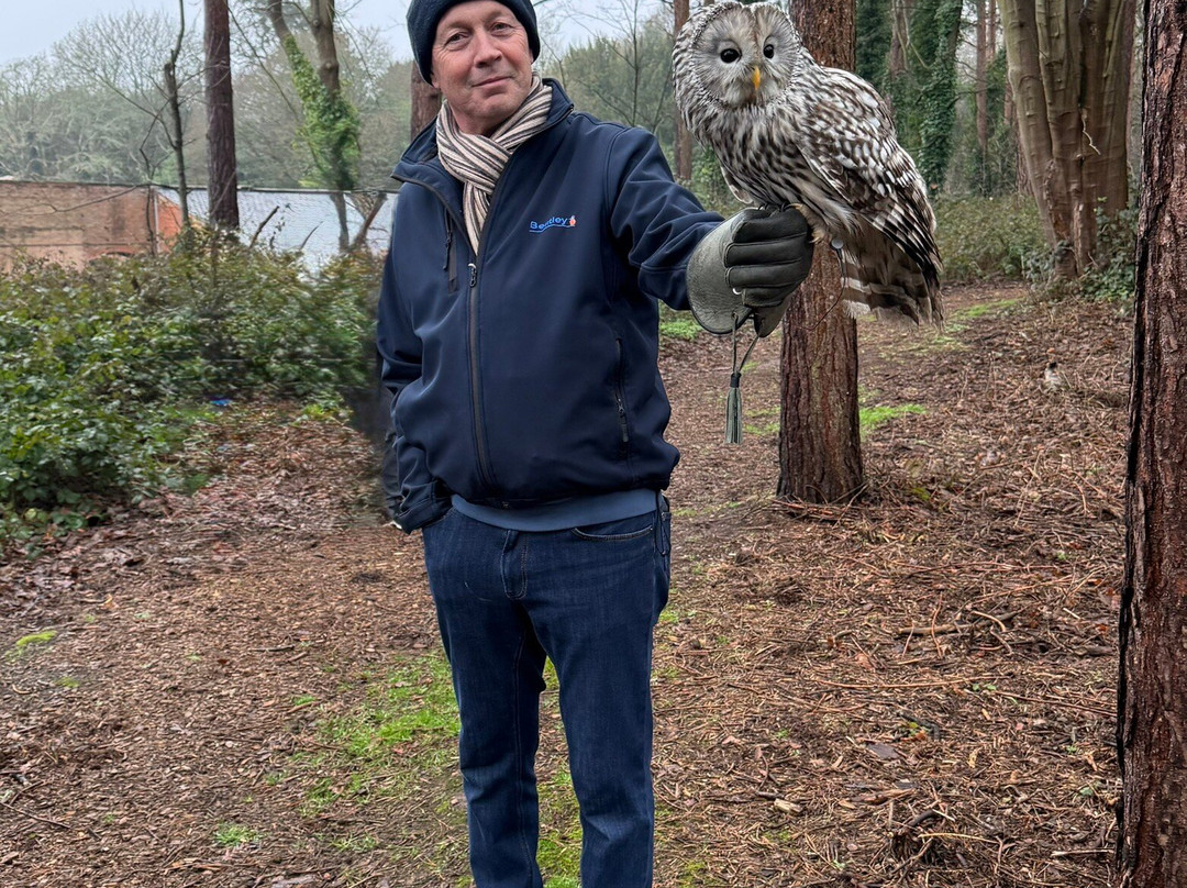 Bird of Prey Experiences - Hawkeye Falconry UK-Thoresby必去景点