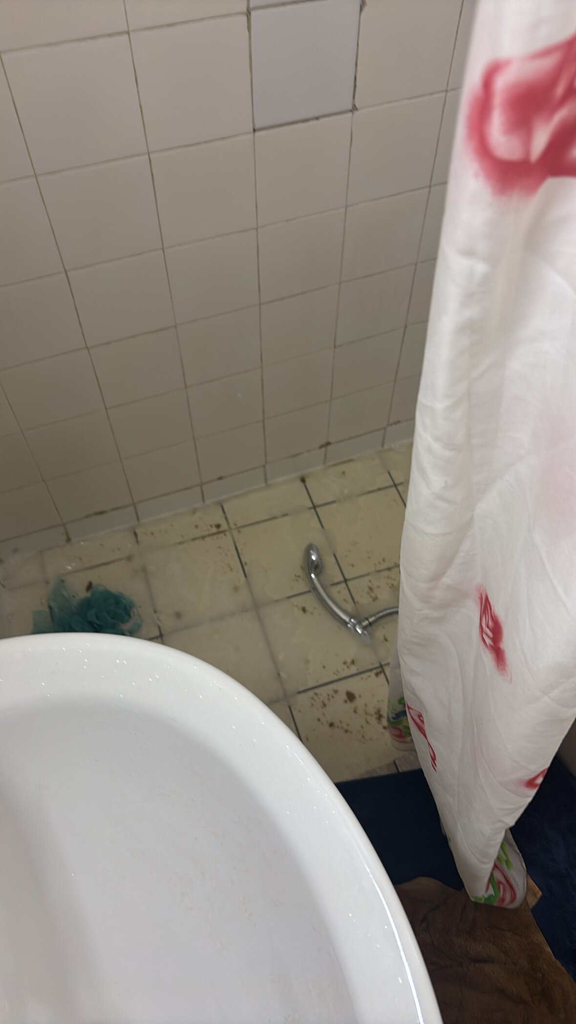 Minaides Hotel-官方