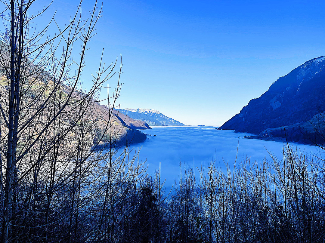 Myswisspanorama-苏黎世必去景点