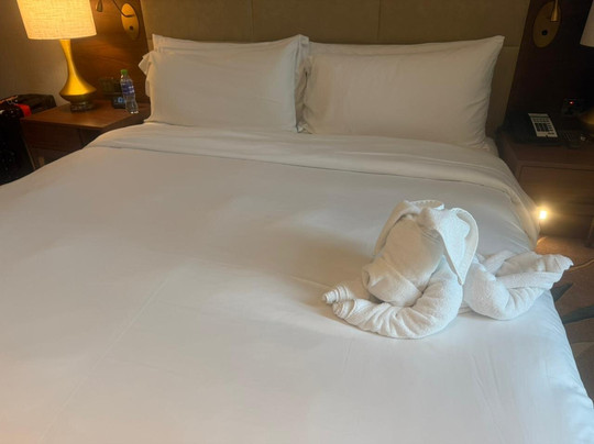 Holiday Inn Dubai Al-Maktoum Airport by IHG主图