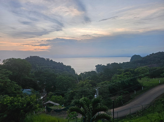 San José Birding-圣何塞必去景点