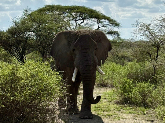 Monkey Adventures-莫西必去景点