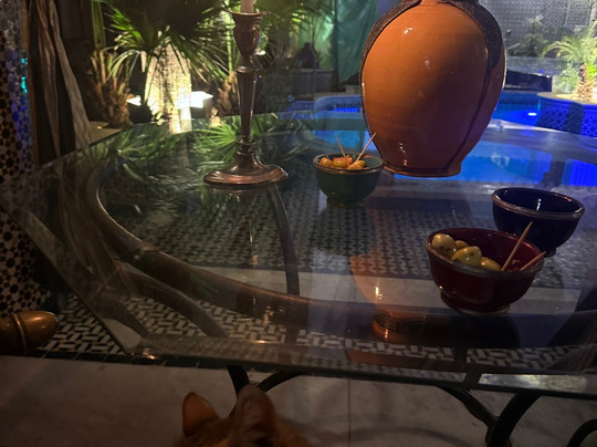 Kassr Annoujoum Ducci Foundation-非斯必去景点