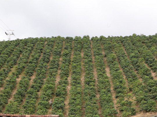 Rutas Cafeteras Tours-Circasia必去景点