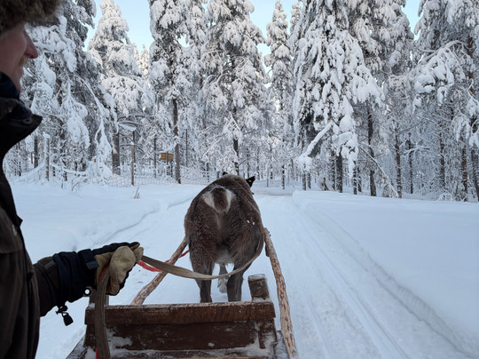 Tokka Snowmobile Safaris & Rentals-Sirkka必去景点