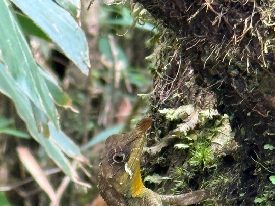 By Foot Adventures Sri Lanka主图