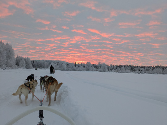 Aavasaksa Adventures-Ylitornio必去景点