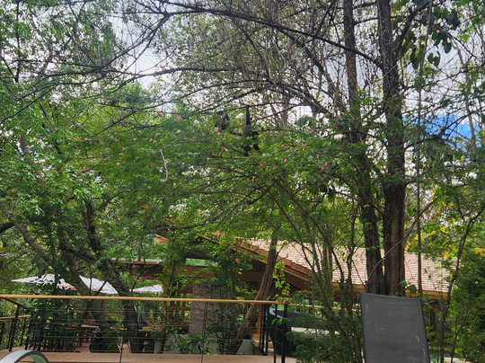 Rio Perdido-巴加塞斯區必去景点