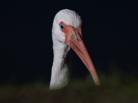 White City Park-匹尔斯堡必去景点