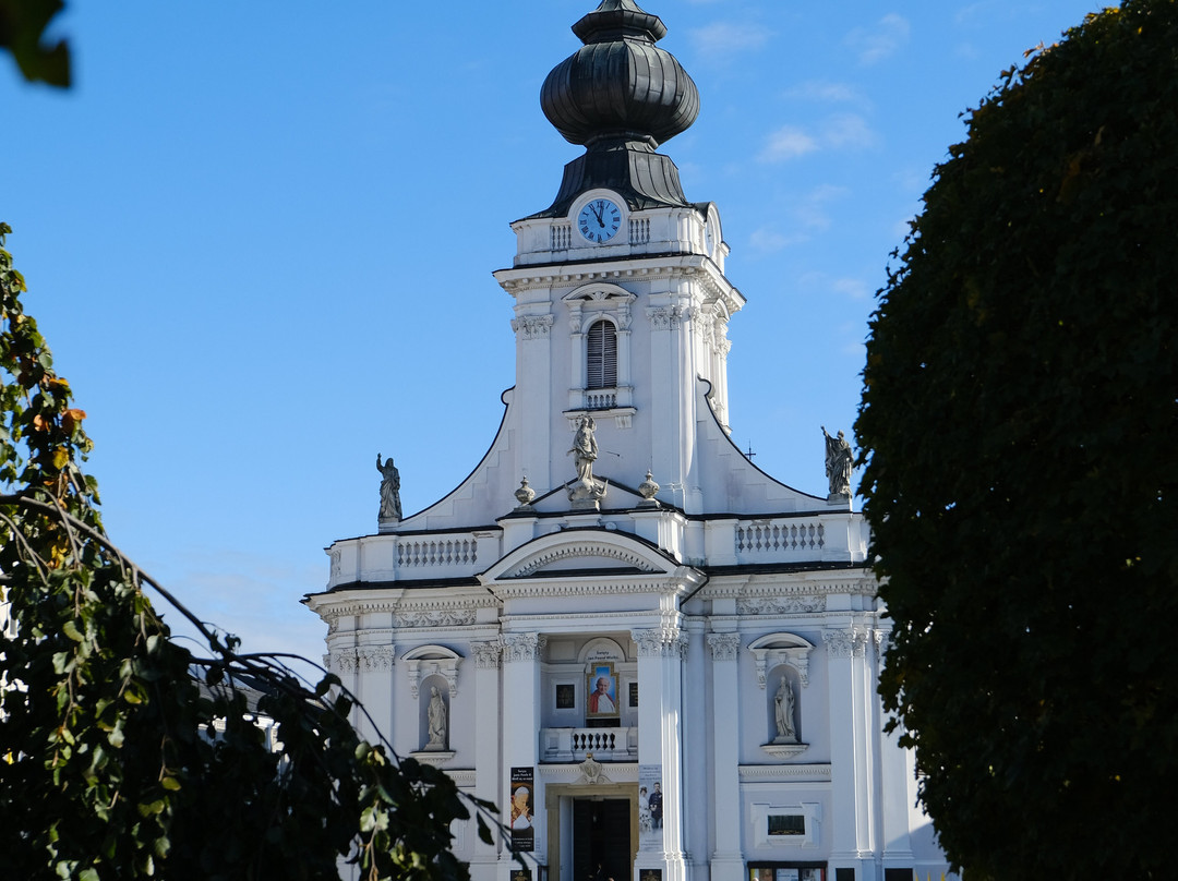 John Paul II Square in Wadowice-Wadowice必去景点