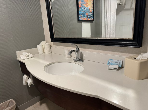 韦斯特伯里希尔顿花园酒店-浴室