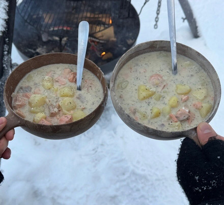 哈士奇雪橇之旅-罗瓦涅米必去景点