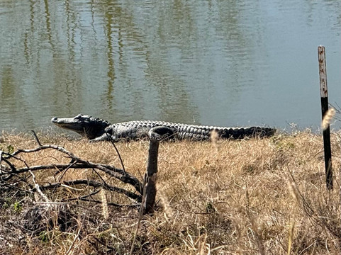 King Ranch Visitor Center-Kingsville必去景点