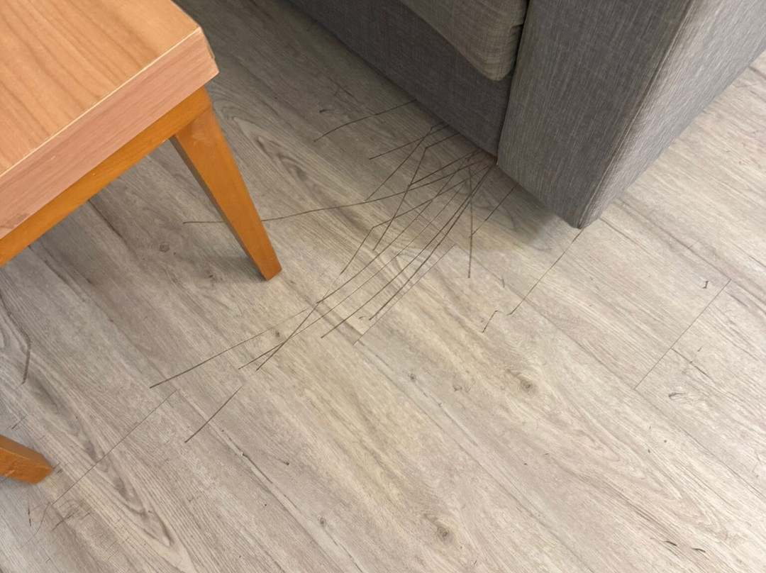 D-reizen-阿姆斯特丹必去景点