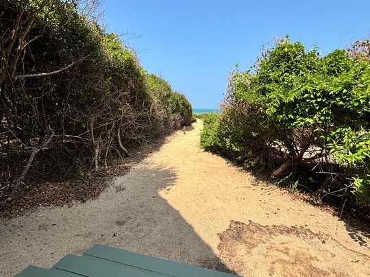 丛林海滩度假村主图