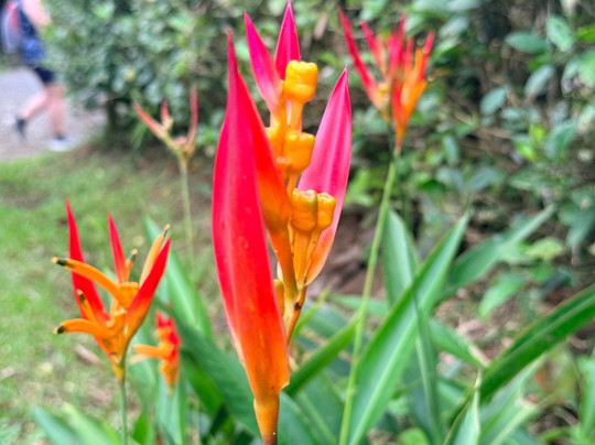 NexusTours-圣何塞必去景点