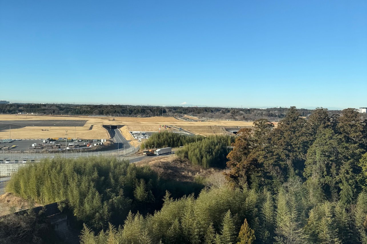 成田马罗德国际酒店-酒店景观