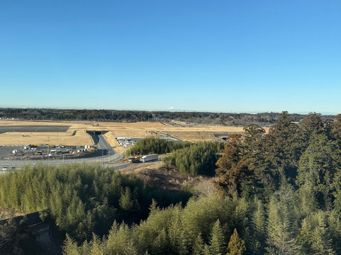 成田马罗德国际酒店主图