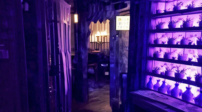 EscapeVenture-马格德堡必去景点