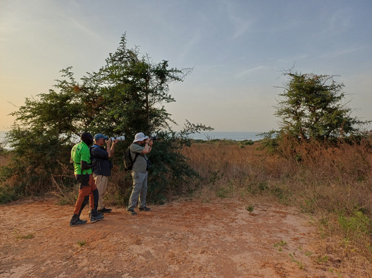 Gambian Bird Guide Ansuman Drammeh -  Best Boy Tours-塞瑞库达必去景点