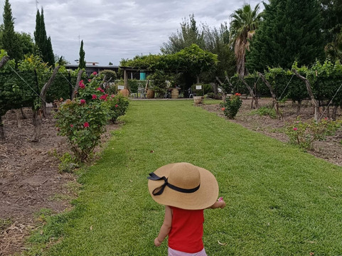 Bodega Alfredo Roca-圣拉斐尔必去景点