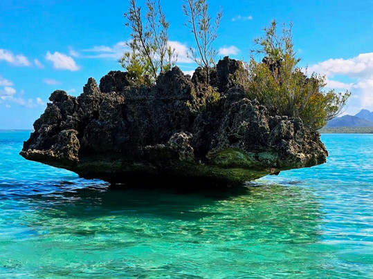 Karlos Excursions-莫纳山必去景点