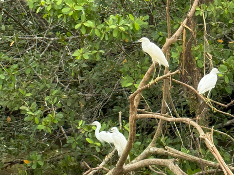 Maratopia-利蒙港必去景点