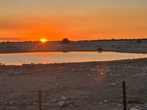 Okaukuejo waterhole-纳米比亚埃托沙国家公园必去景点