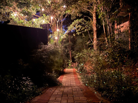 Cerro de la Muerte-圣何塞省必去景点