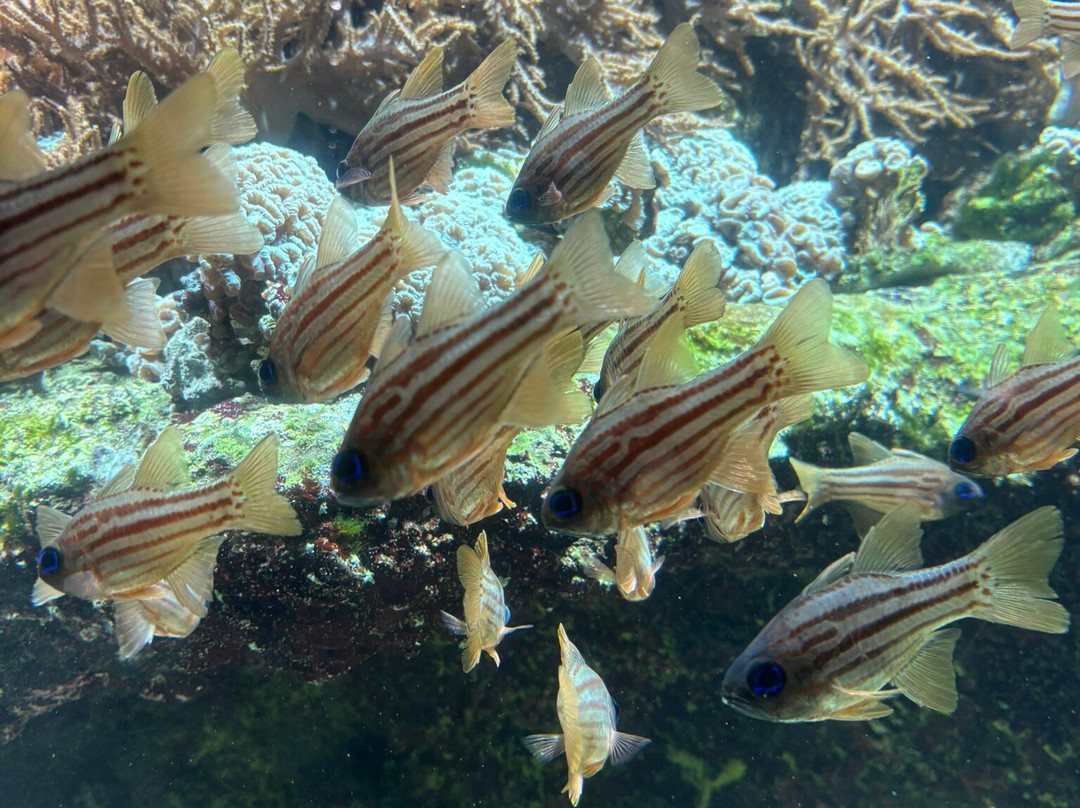 Aquarium La Rochelle-拉罗谢尔必去景点