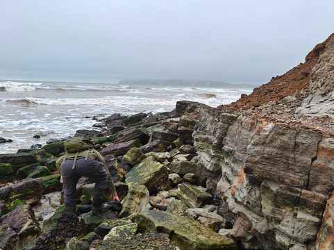 Isle of Wight Fossil Walks- Wight Coast Fossils-文特诺必去景点