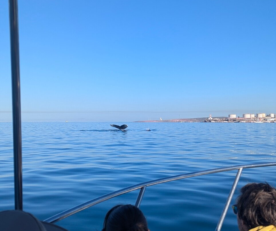 On Board Baja-拉巴斯必去景点