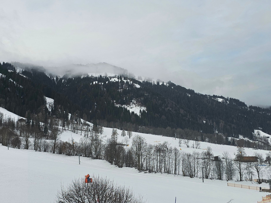 哈芬维尔特酒店主图