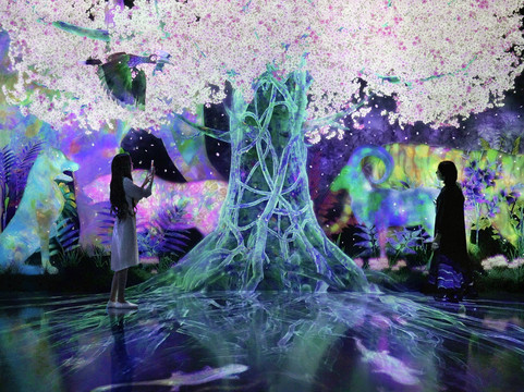 teamLab Forest-Chuo必去景点