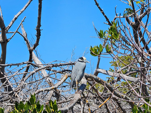 Gulf Coast Kayak-开普科勒尔必去景点