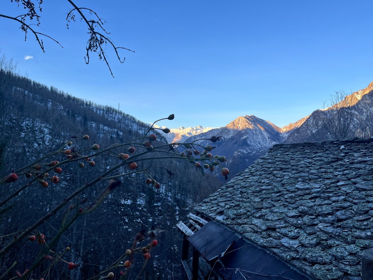 马尔斯山住宿加早餐旅馆-官方