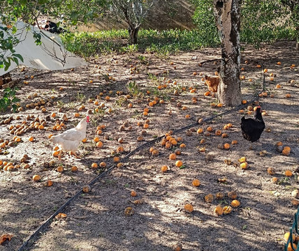 Quinta de Malmedra主图