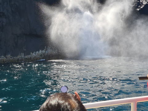 SeaLink Bruny Island Ferry-Kettering必去景点