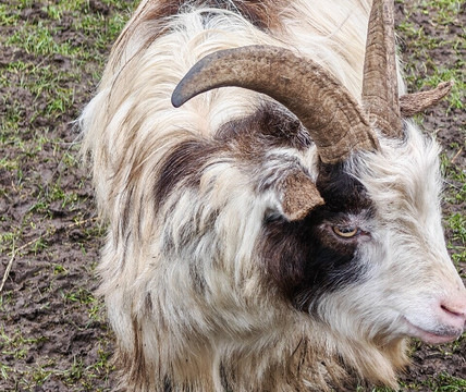 Thorp Perrow-Bedale必去景点