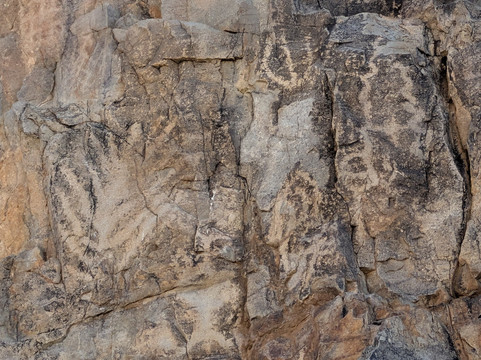 Saguaro National Park-图森必去景点