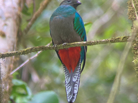 Highland Birds Tours-多塔圣赫拉多必去景点