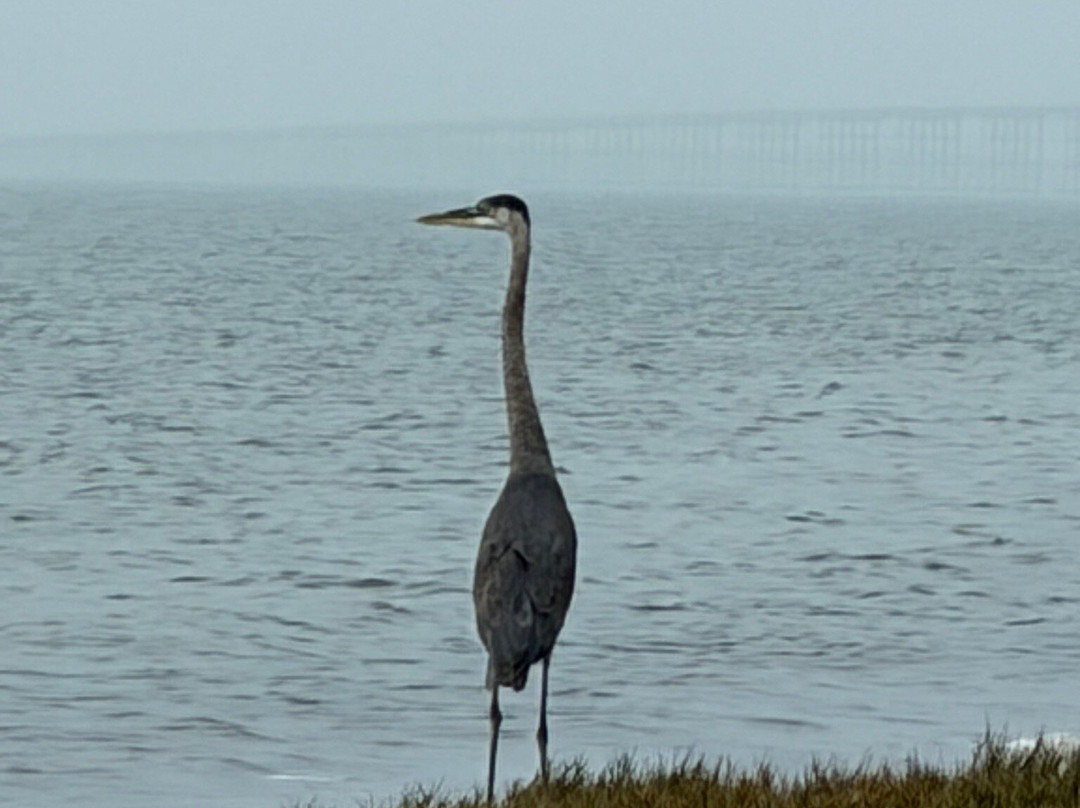 Goose Island State Park-罗克波特必去景点