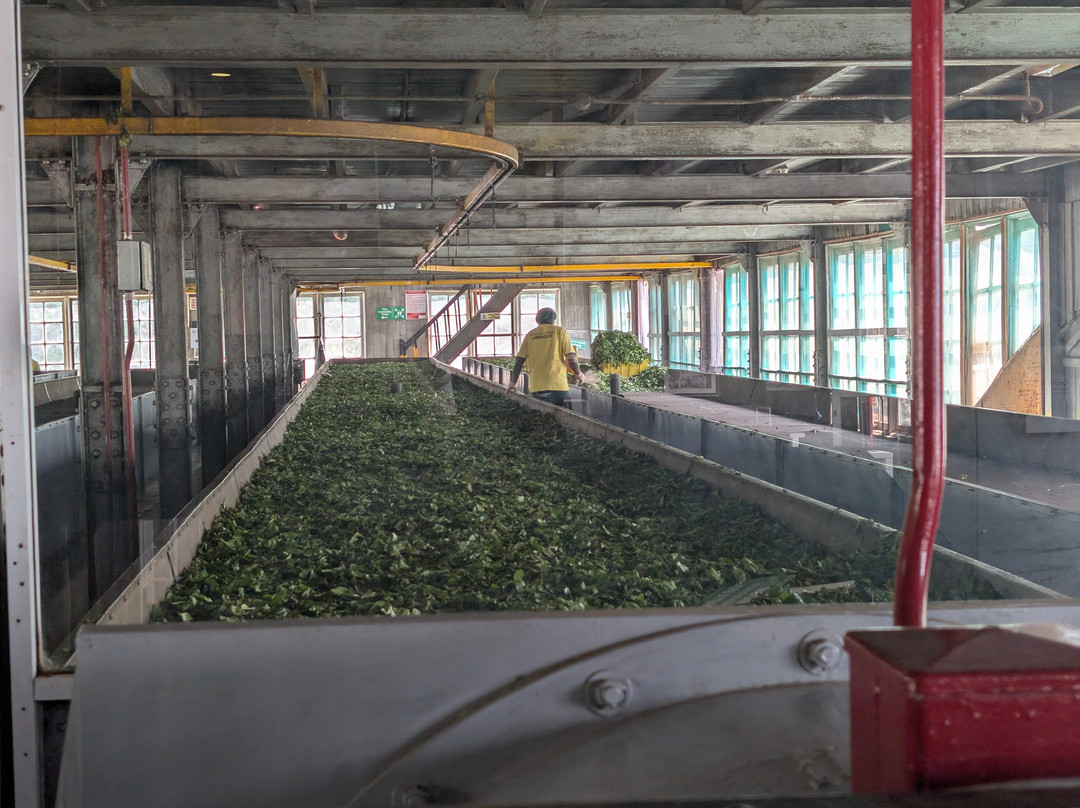 Andrews Eco Tours and Taxi-奴娃拉伊利雅必去景点