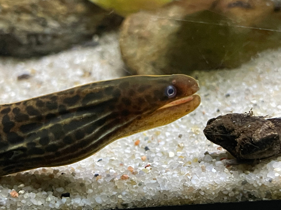 Zoo Brno-布尔诺必去景点