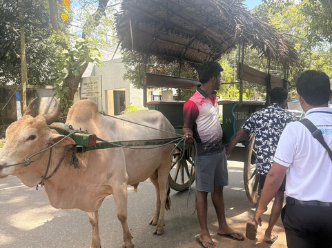 Dinesh Sanjeewa De Silva-Welimada必去景点