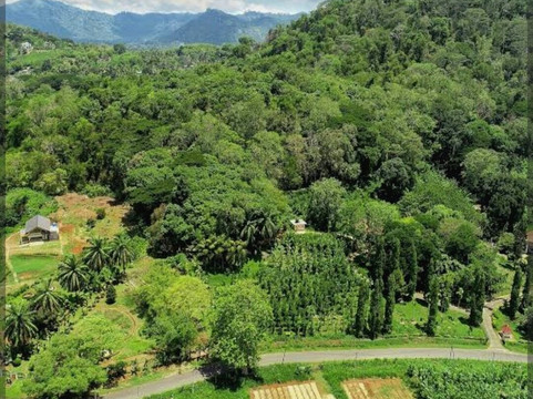 National Spice Garden of Sri Lanka-Matale必去景点