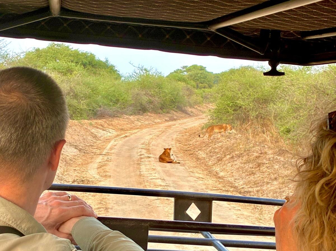 Adventure In The Wild Safaris-坎帕拉必去景点