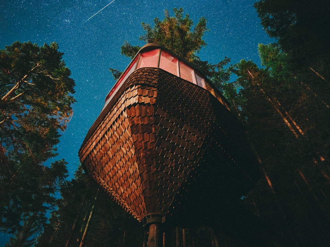Woodnest Treehouse