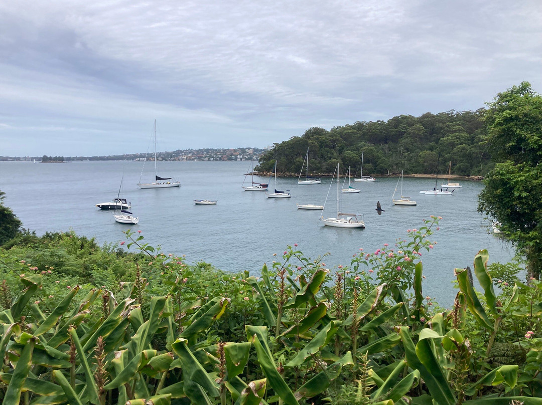 悉尼湾国家公园-莫斯曼必去景点